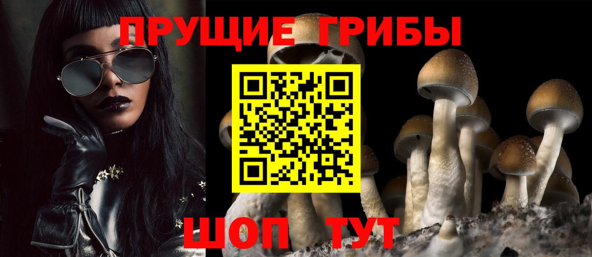 Псилоцибиновые грибы ЛСД  Псилоцибиновые грибы прущие грибы  Кондопога  Вход с VPN 